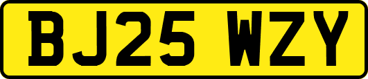 BJ25WZY