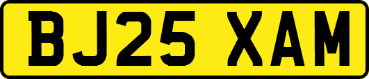 BJ25XAM