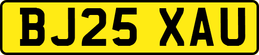 BJ25XAU