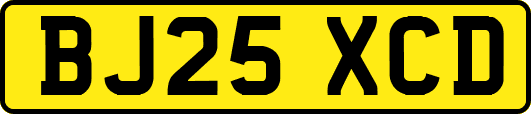 BJ25XCD