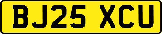 BJ25XCU