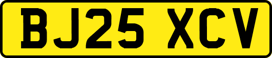BJ25XCV
