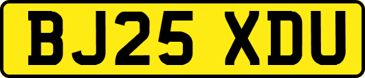 BJ25XDU