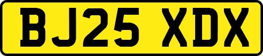 BJ25XDX
