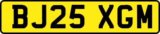 BJ25XGM