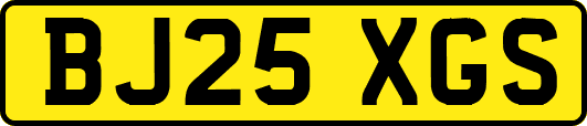 BJ25XGS
