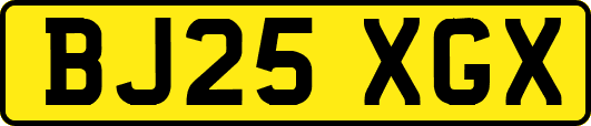 BJ25XGX