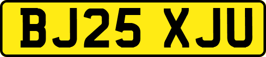 BJ25XJU
