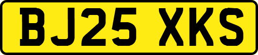 BJ25XKS