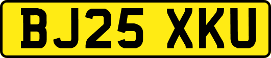 BJ25XKU