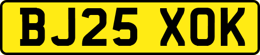 BJ25XOK