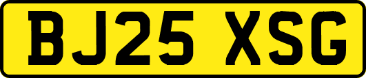 BJ25XSG