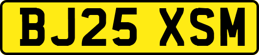 BJ25XSM