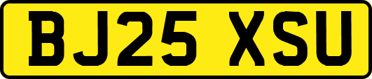 BJ25XSU
