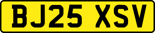 BJ25XSV