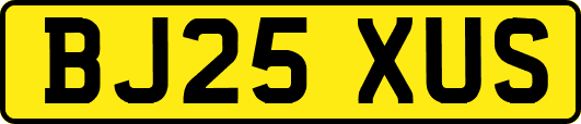 BJ25XUS