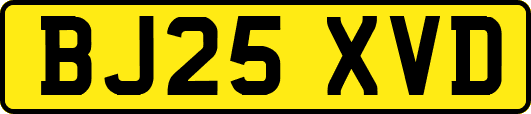 BJ25XVD