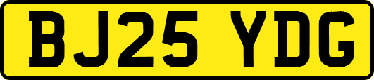 BJ25YDG