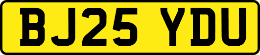 BJ25YDU