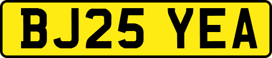 BJ25YEA