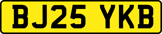 BJ25YKB