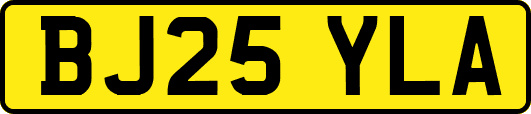 BJ25YLA