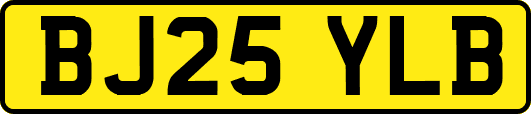 BJ25YLB