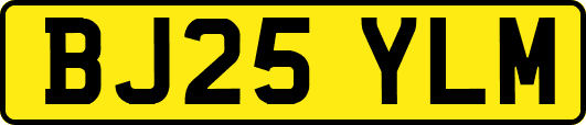 BJ25YLM