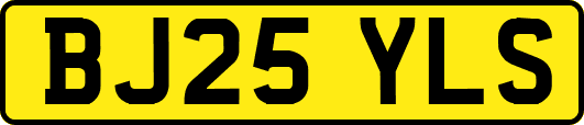 BJ25YLS
