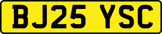 BJ25YSC
