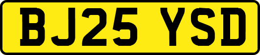 BJ25YSD