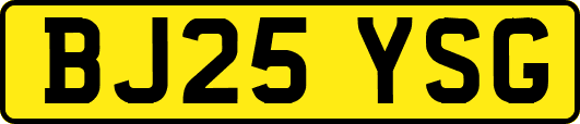 BJ25YSG