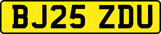 BJ25ZDU