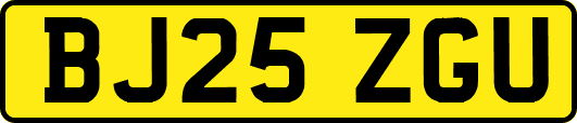 BJ25ZGU