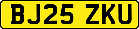 BJ25ZKU