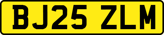 BJ25ZLM