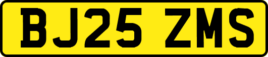 BJ25ZMS