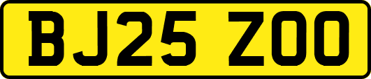 BJ25ZOO
