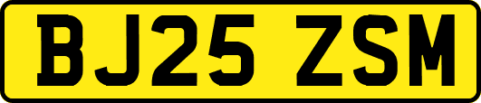 BJ25ZSM