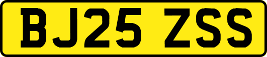 BJ25ZSS