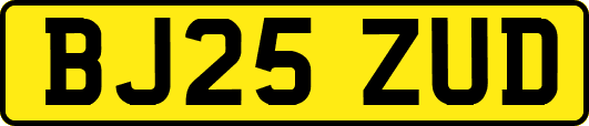 BJ25ZUD