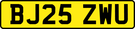 BJ25ZWU
