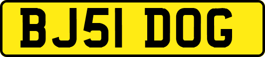 BJ51DOG