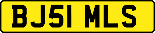 BJ51MLS