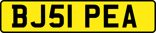 BJ51PEA