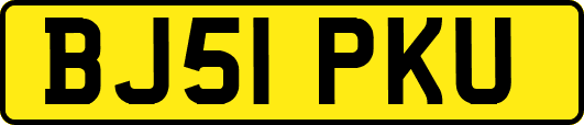 BJ51PKU