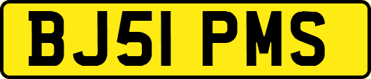 BJ51PMS