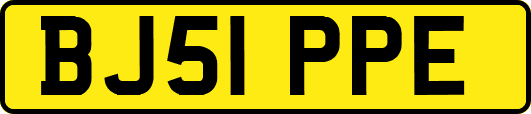 BJ51PPE