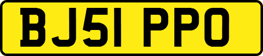 BJ51PPO