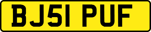 BJ51PUF